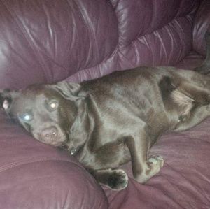 Meet your Posher, Brian